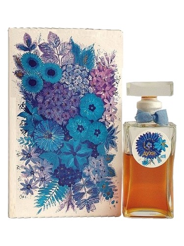 Не Забудь Северное сияние pro ženy 