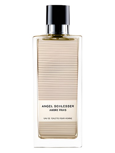 Ambre Frais Homme Angel Schlesser pro muže
