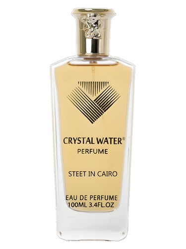 Street in Cairo Crystal Water pro ženy a muže 