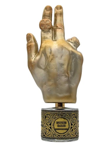 Notre dame notte di natale