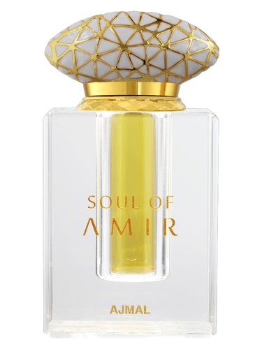 Soul Of Amir Ajmal pro ženy a muže 