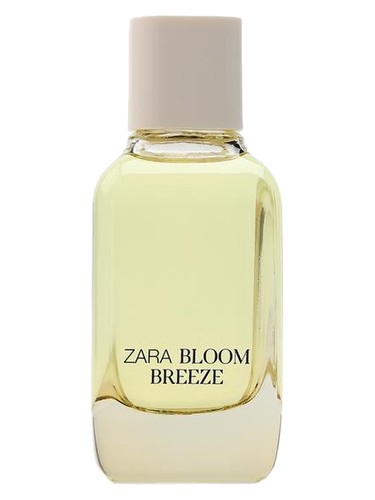 Zara Parfum Dupe Alien Krishna Consciousness Cloud Ariana Grande Perfume  Dupe Splendid