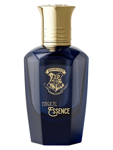 perfume Wisdom Harry Potter pro muže 