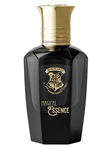 Ambition Harry Potter pro muže