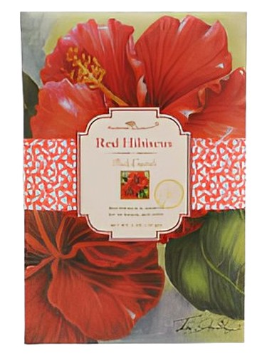 Red Hibiscus