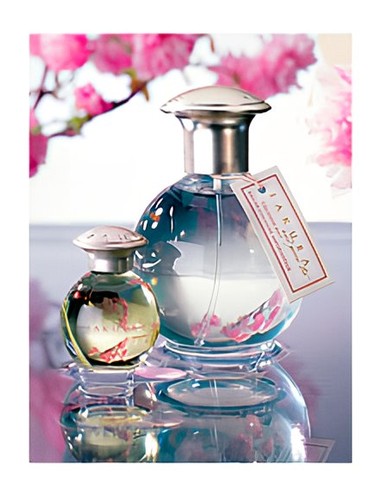 Sakura and Green Tea TerraNova pro ženy 