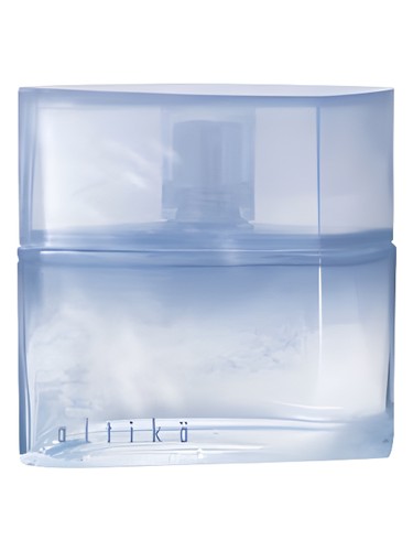 Altika Yves Rocher pro muže