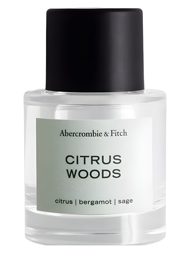 希少【新品未使用】Abercrombie & Fitch WOODS 香水 Woods Abercrombie &amp; Fitch cologne - a fragrance for