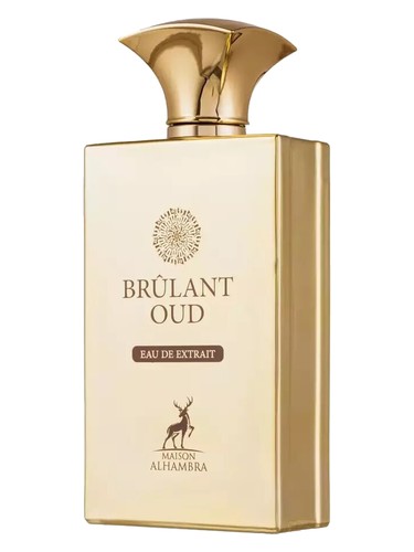Brûlant Oud Maison Alhambra pro muže 
