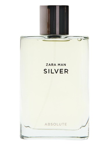 Silver Absolute Zara pro muže 