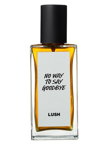 No Way To Say Goodbye Lush pro ženy a muže 