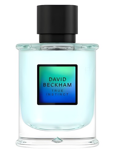 David Beckham True Instinct by David Beckham