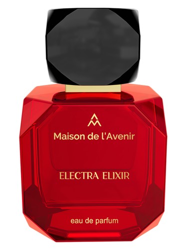 Electra Elixir Maison de l'Avenir pro ženy a muže