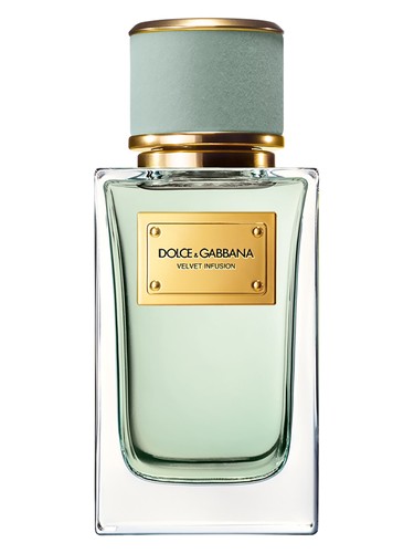 DOLCE&GABBANAベルベットシリーズ Velvet Collection