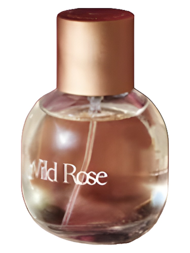 Wild Rose Burren Perfumery perfume - a fragrance for women