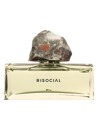 perfume Fog 炜桑 Risocial 在野南杂 pro ženy a muže 
