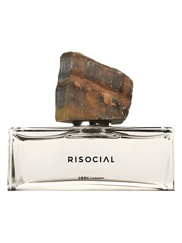 Cardamom 豆蔻雪松 Risocial 在野南杂 pro ženy a muže