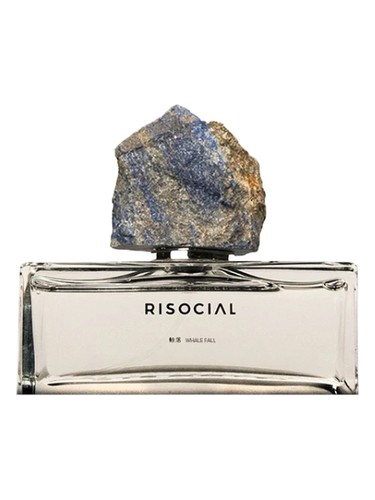 Whale Fall 鲸落 Risocial 在野南杂 pro ženy a muže 