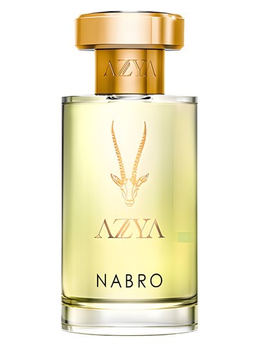 perfume Nabro AZYA pro ženy a muže 
