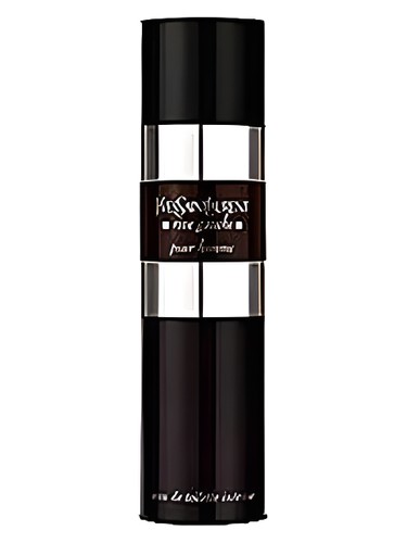 Rive Gauche Pour Homme Intense Yves Saint Laurent pro muže 