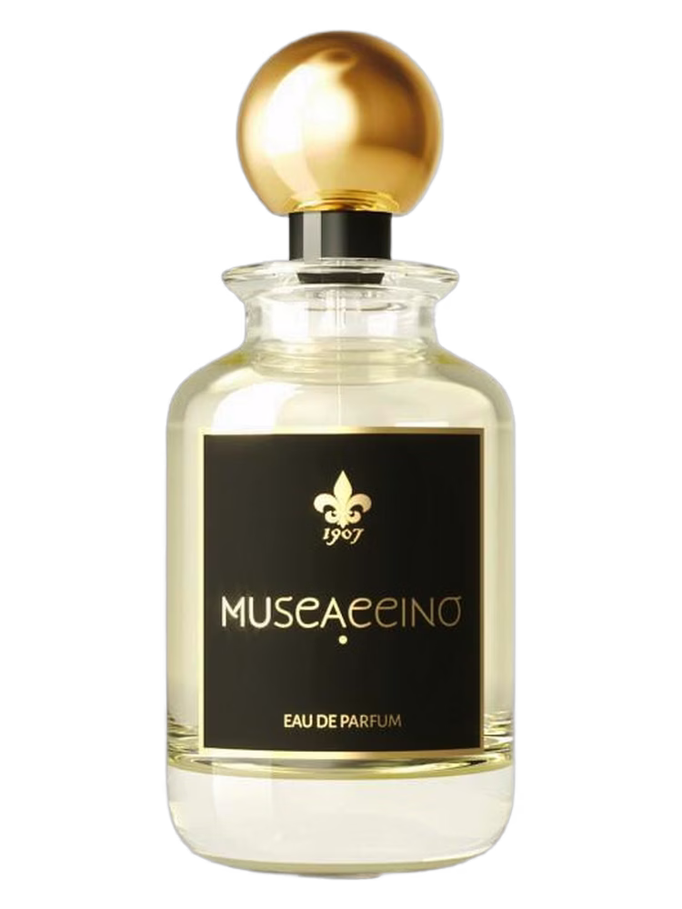 1907 Muscaccino