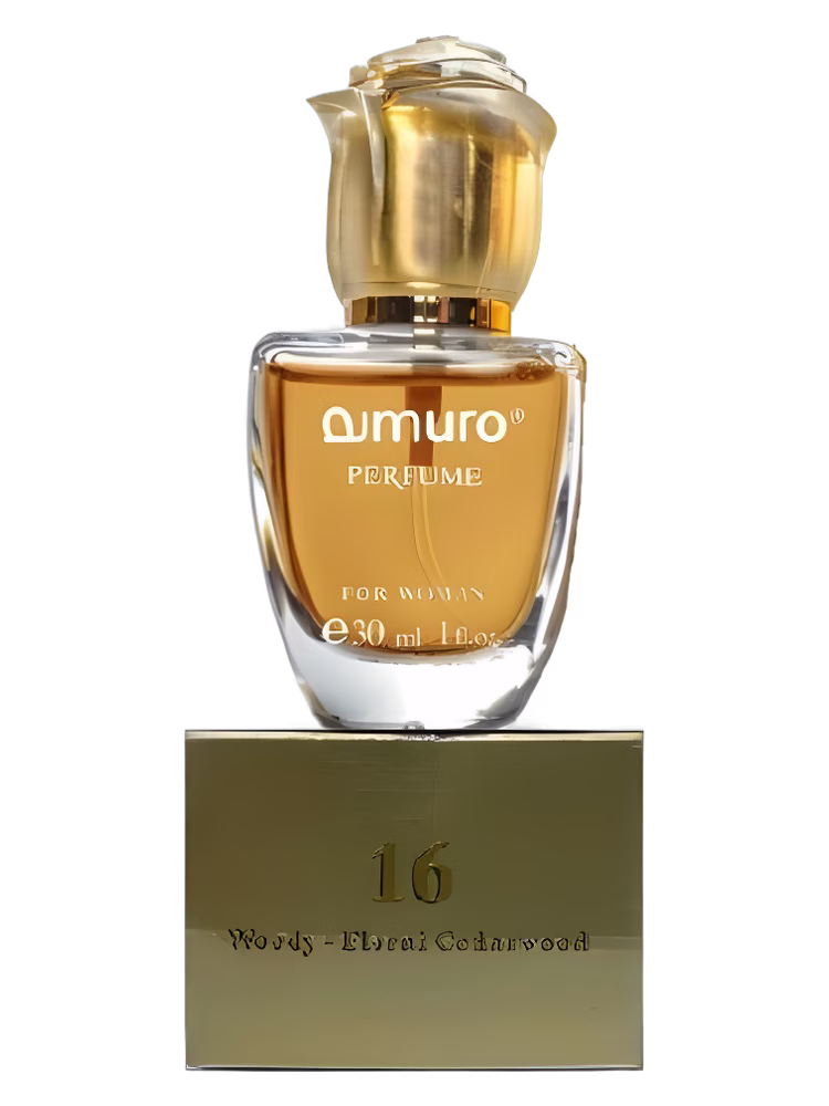 Dzintars Amuro 16