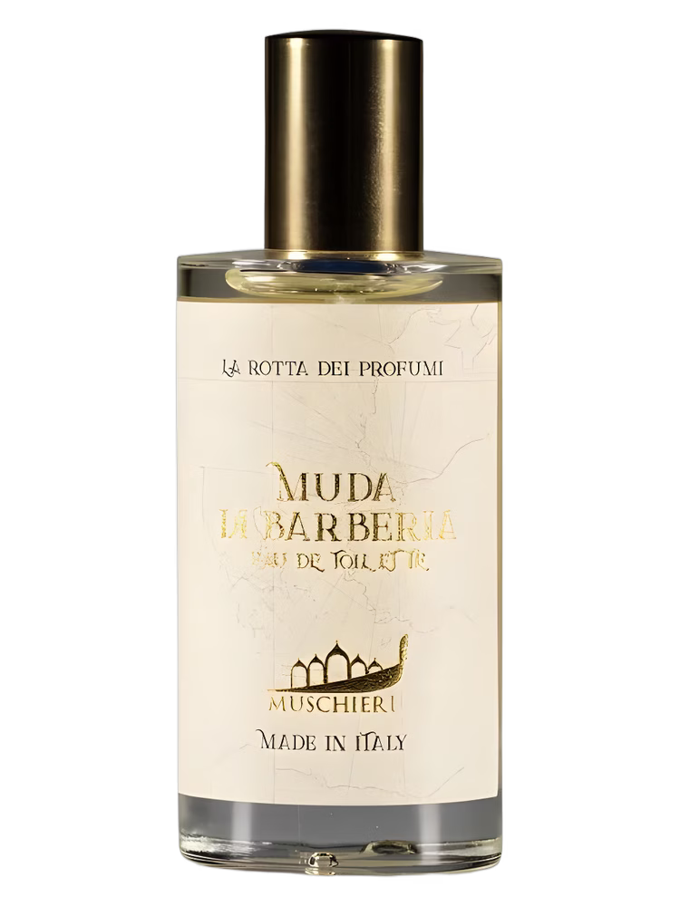 Muschieri Muda di Barberia