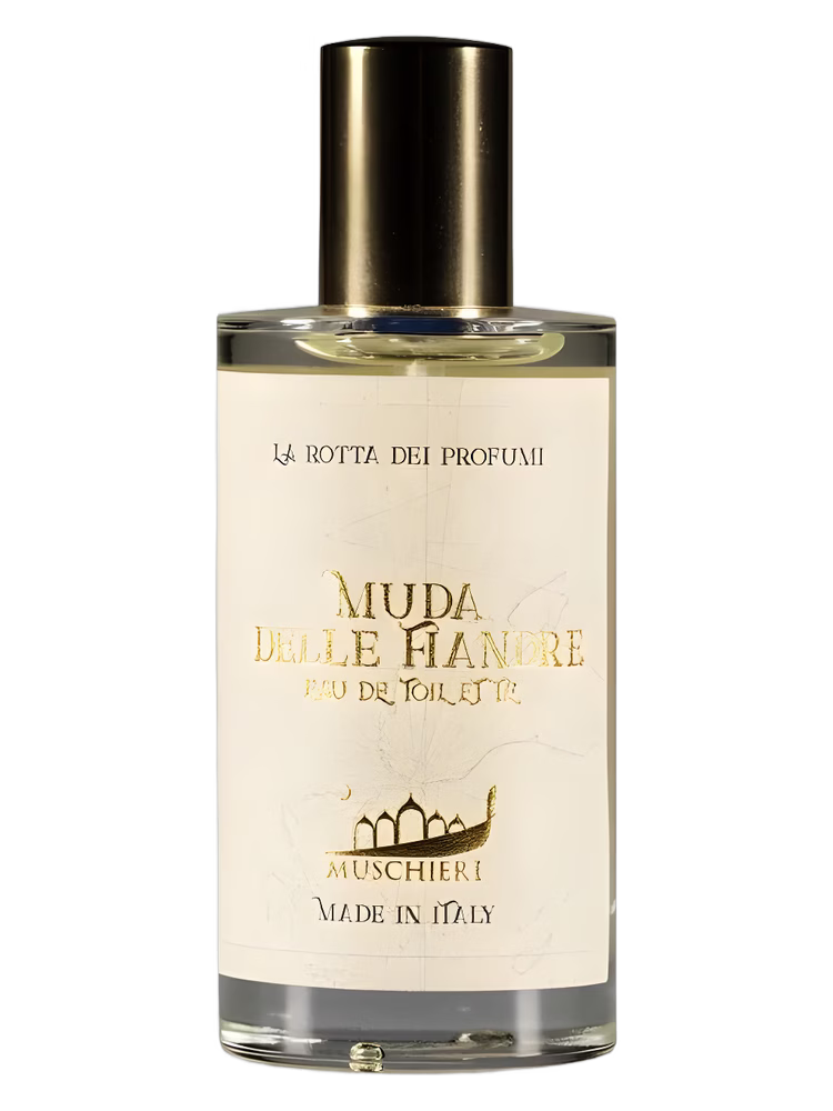 Muschieri Muda delle Fiandre