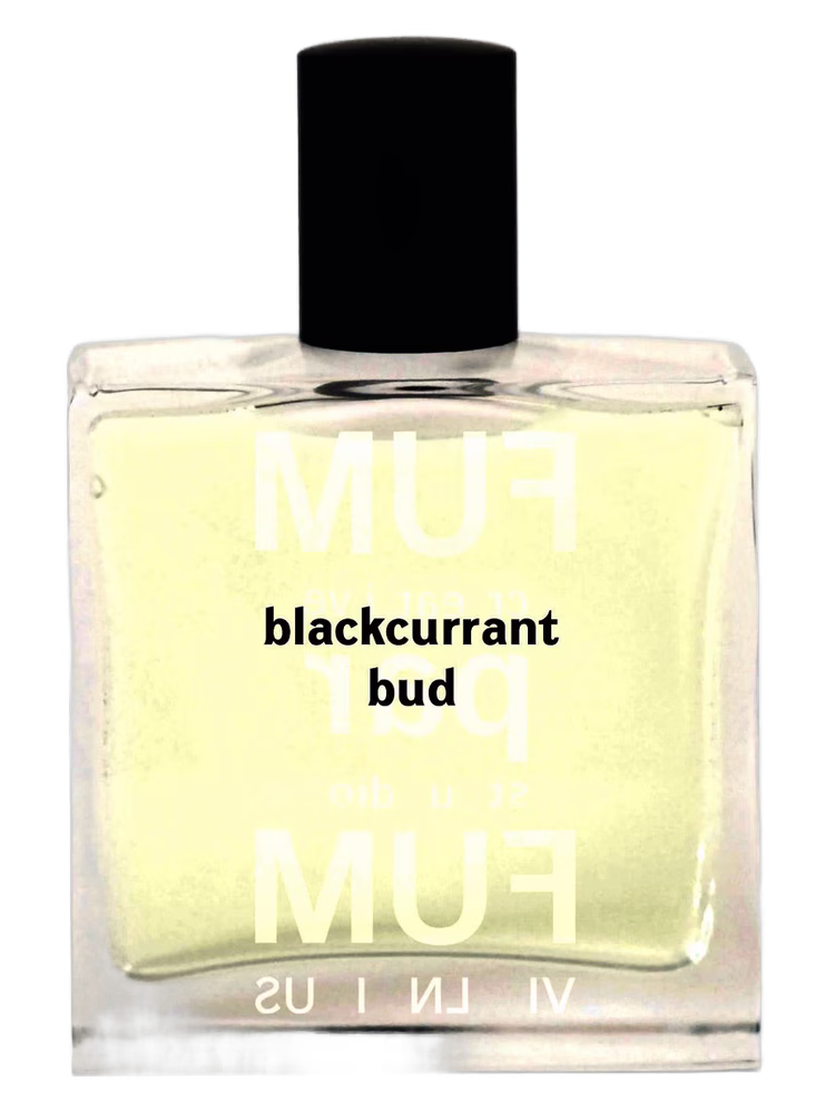 FUMparFUM Blackcurrant Bud