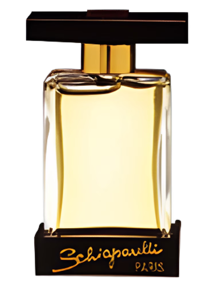 Schiaparelli Shocking You