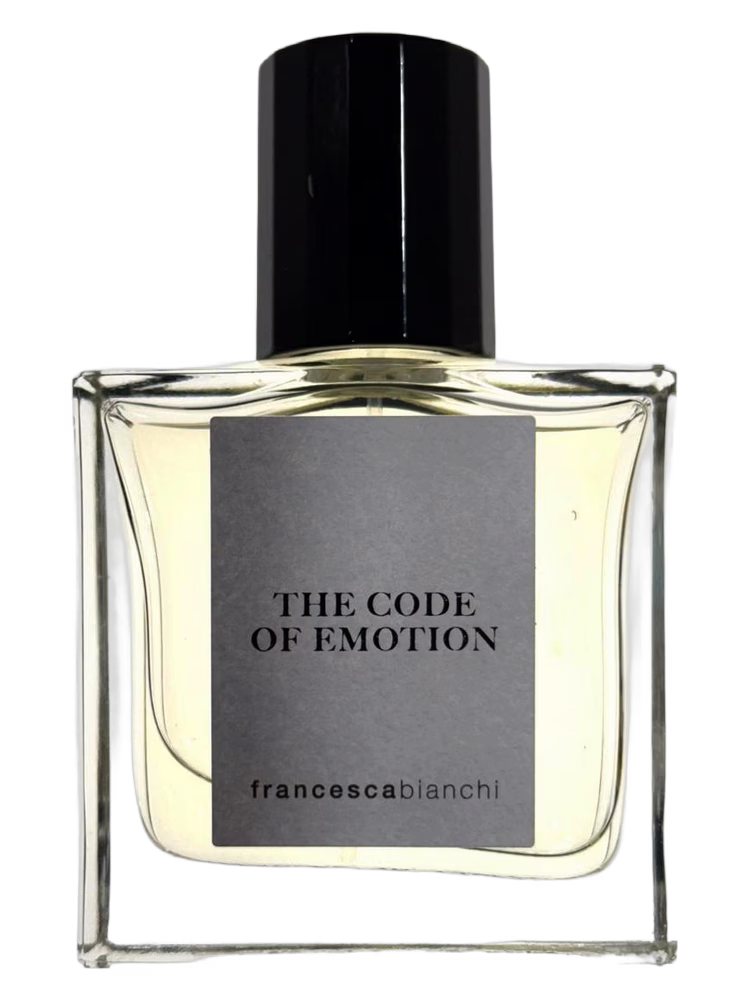Francesca Bianchi The Code of Emotion