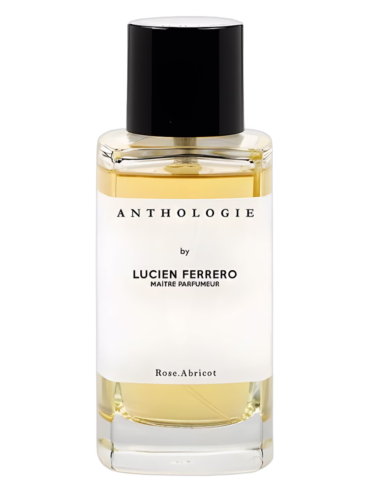 Anthologie Rose Abricot