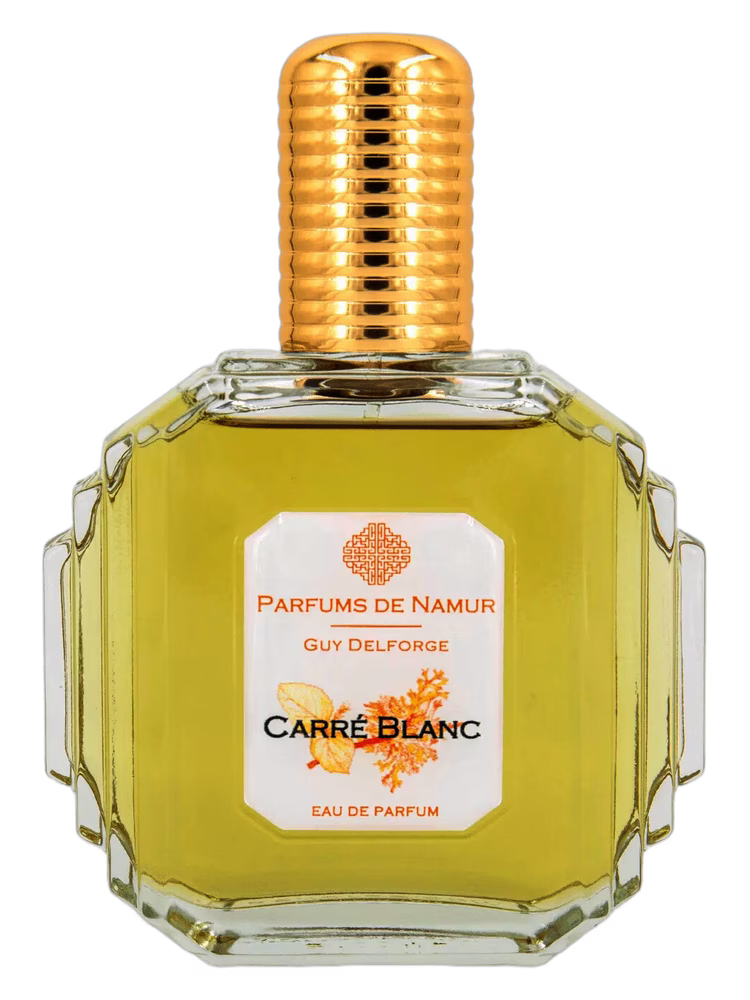 Guy Delforge Carré Blanc