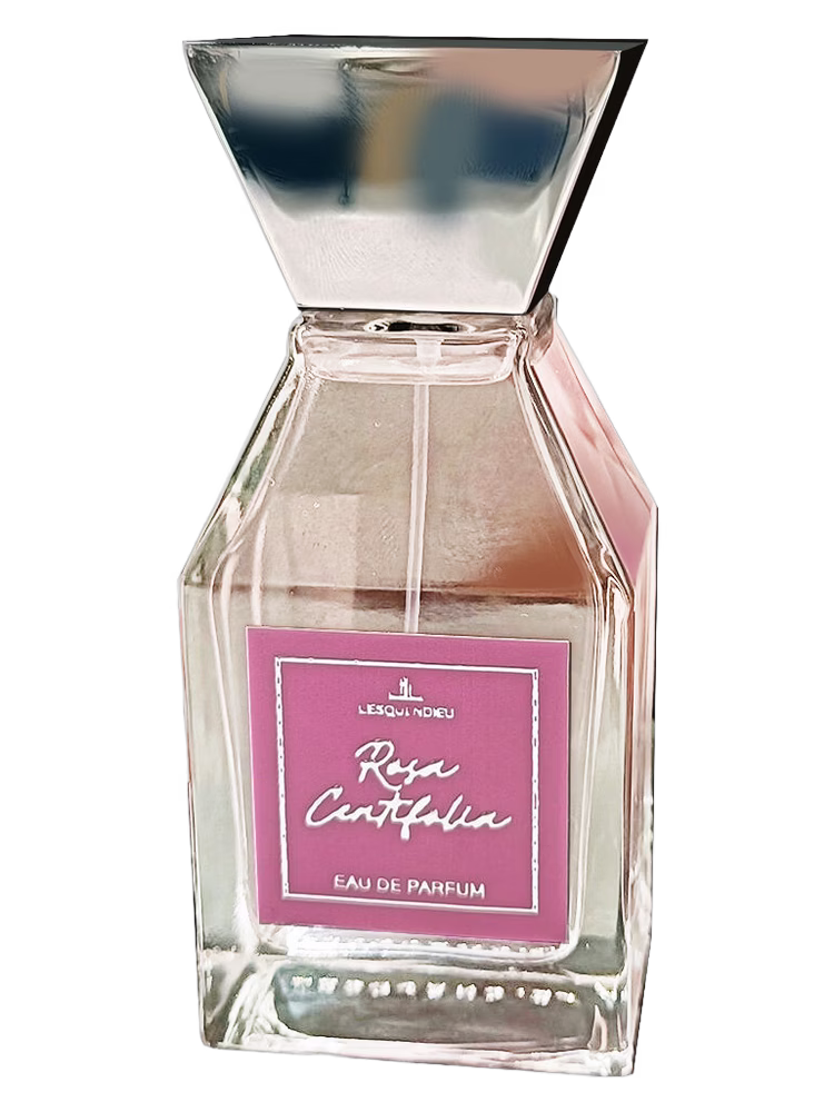 Lesquendieu Rosa Centifolia