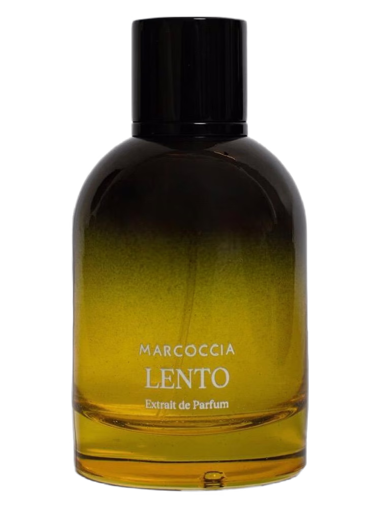 Marcoccia Lento