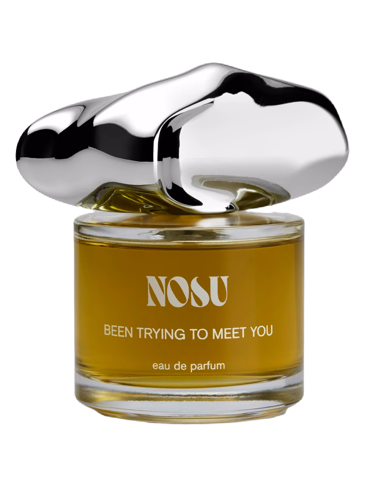 Nosu Been Trying To Meet You