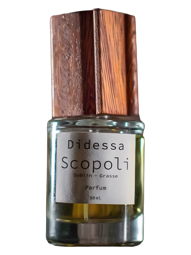 Scopoli Didessa