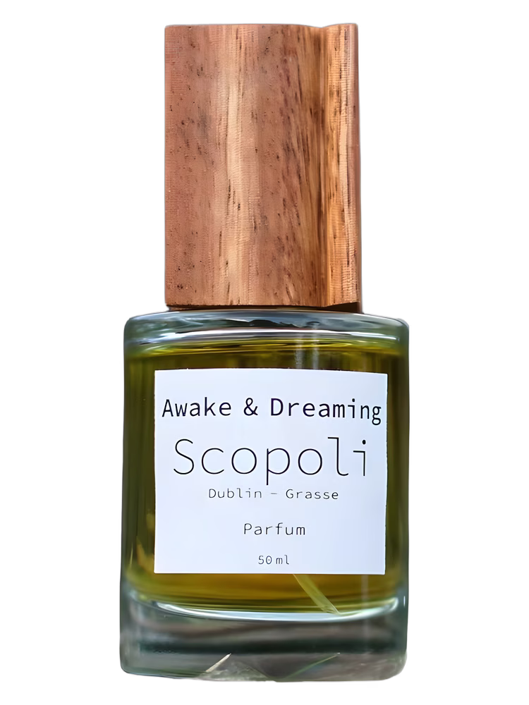 Scopoli Awake & Dreaming