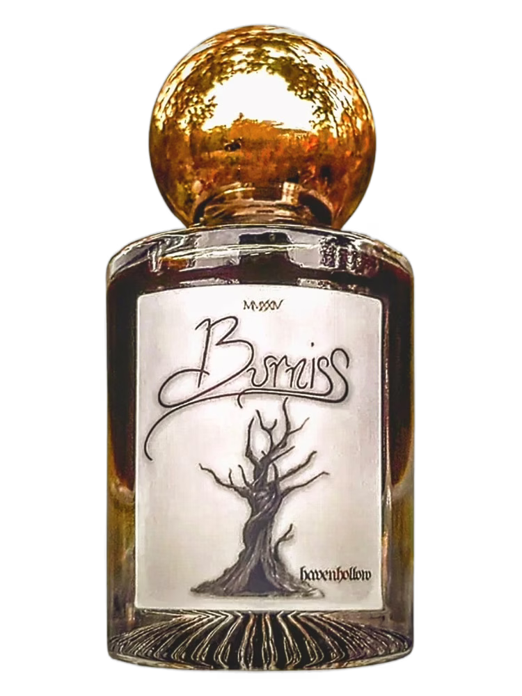 Havenhollow Burniss