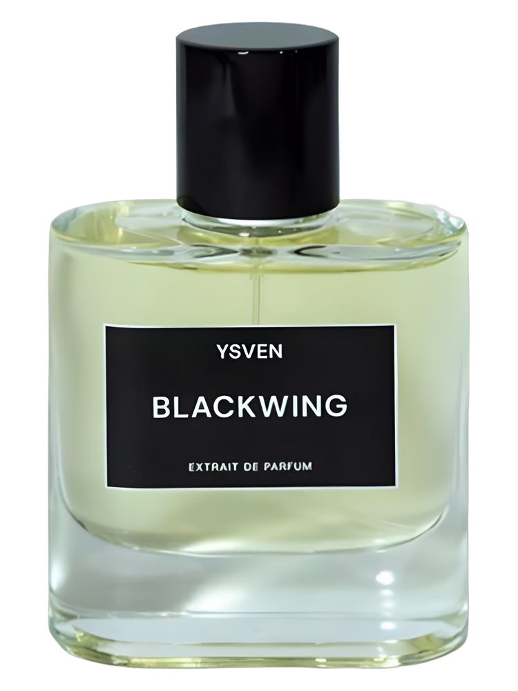 YSVEN Blackwing
