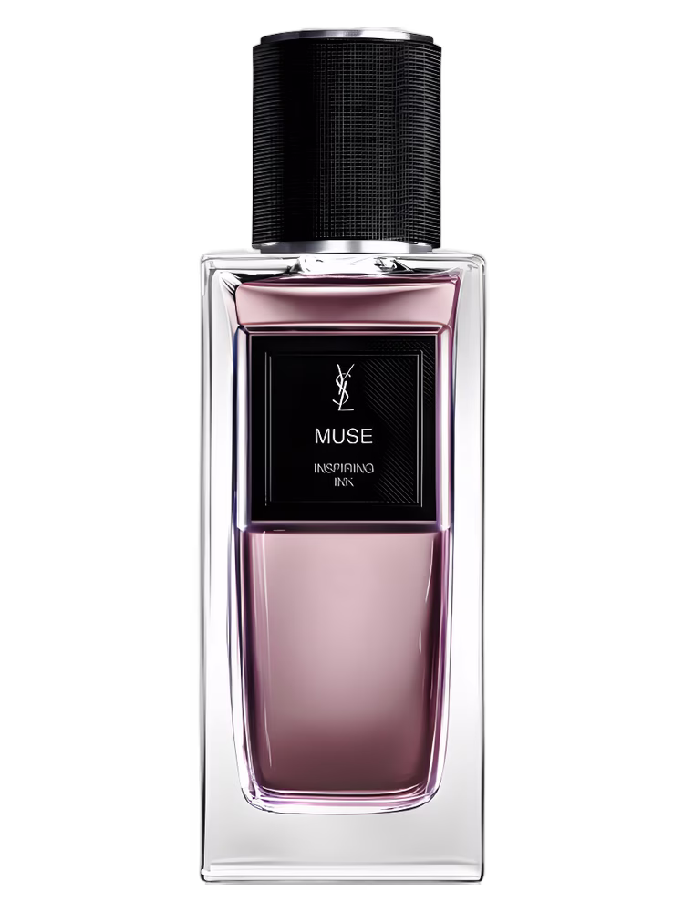 Yves Saint Laurent Muse