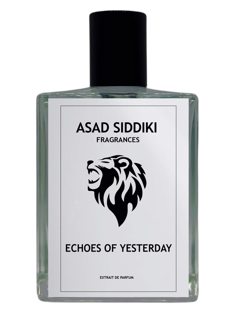 Asad Siddiki Echoes of Yesterday