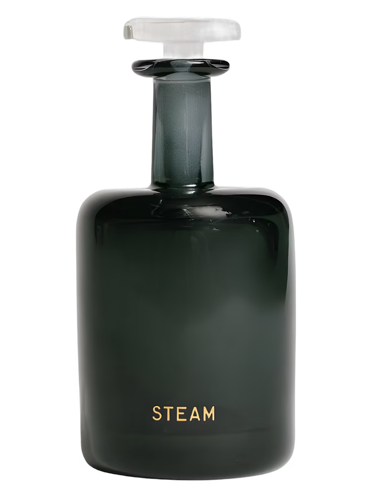 Perfumer H Steam