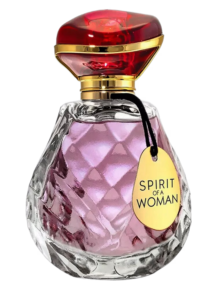 Paris Elysees Spirit Of A Woman