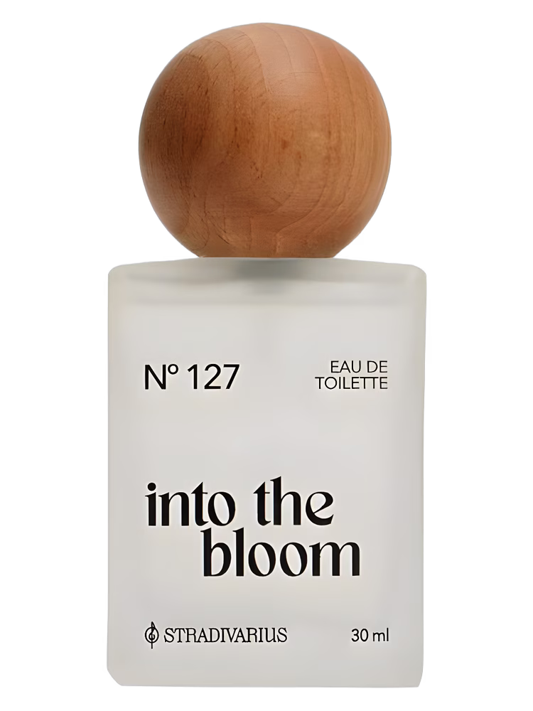 Stradivarius Nᵒ127 Into the Bloom