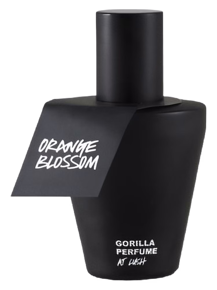 Lush Orange Blossom