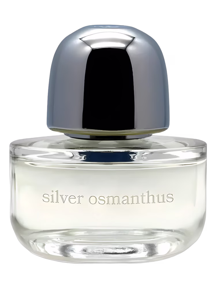 Kilesa Silver Osmanthus