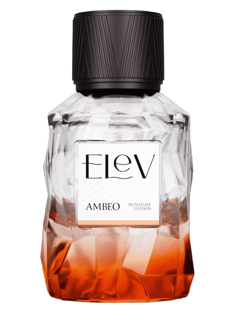 Elev Ambeo