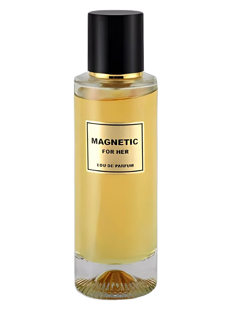 KSV MAGNETIC for HER
