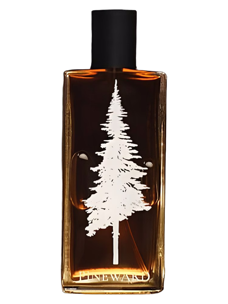 Pineward Perfumes Lime Cola